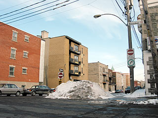 Montreal in all its post-frozen splendor beautiful-thaw.jpg