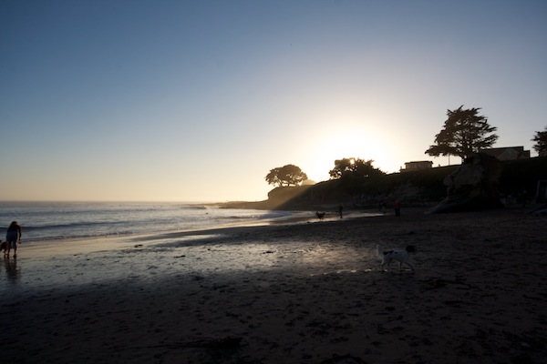 Santa Cruz